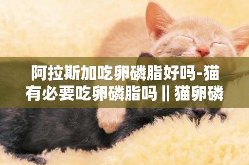 阿拉斯加吃卵磷脂好嗎-貓有必要吃卵磷脂嗎‖貓卵磷脂排名