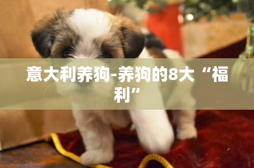 意大利養狗-養狗的8大“福利”