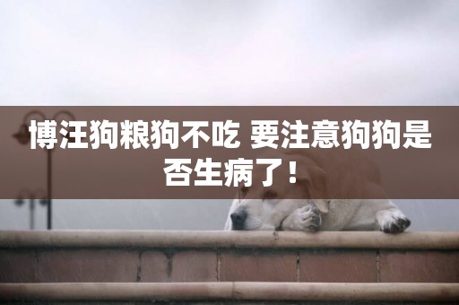 博汪狗糧狗不吃 要注意狗狗是否生病了！
