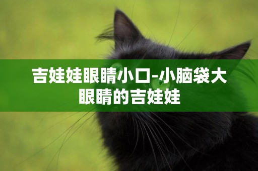 吉娃娃眼睛小口-小腦袋大眼睛的吉娃娃