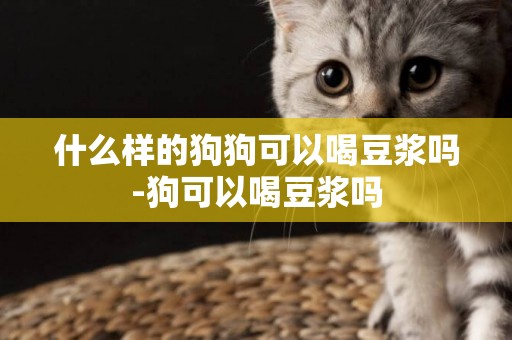 什么樣的狗狗可以喝豆漿嗎-狗可以喝豆漿嗎