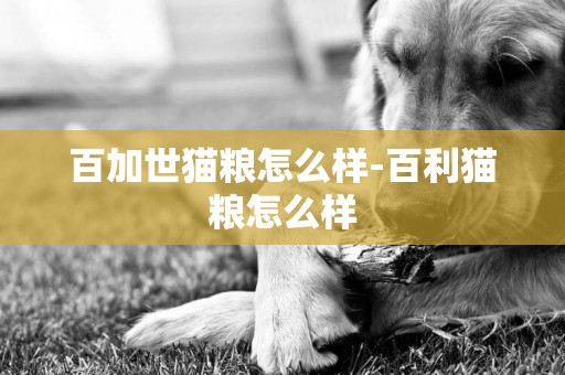 百加世貓糧怎么樣-百利貓糧怎么樣