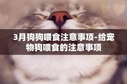 3月狗狗喂食注意事項-給寵物狗喂食的注意事項