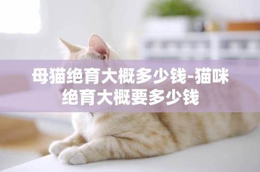 母貓絕育大概多少錢-貓咪絕育大概要多少錢