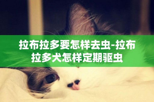 拉布拉多要怎樣去蟲-拉布拉多犬怎樣定期驅蟲