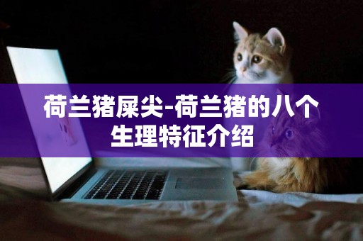荷蘭豬屎尖-荷蘭豬的八個生理特征介紹