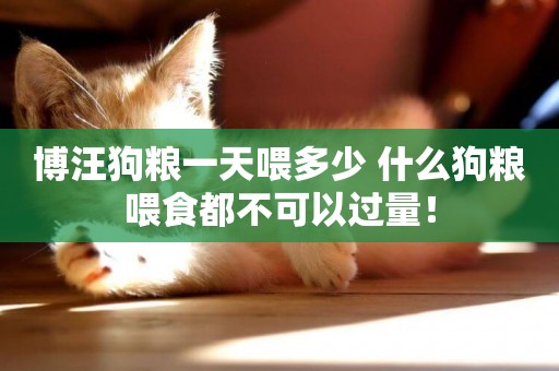 博汪狗糧一天喂多少 什么狗糧喂食都不可以過量！