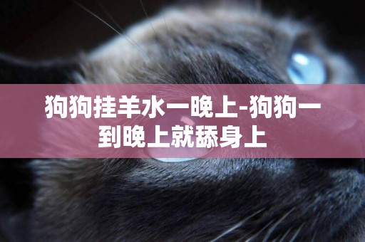 狗狗掛羊水一晚上-狗狗一到晚上就舔身上