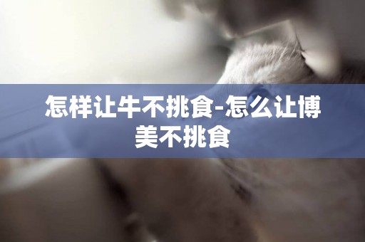怎樣讓牛不挑食-怎么讓博美不挑食