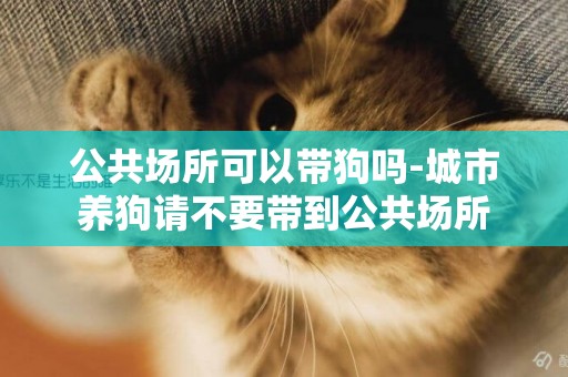 公共場所可以帶狗嗎-城市養狗請不要帶到公共場所