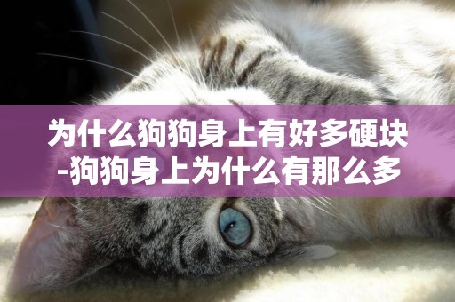 為什么狗狗身上有好多硬塊-狗狗身上為什么有那么多皮屑