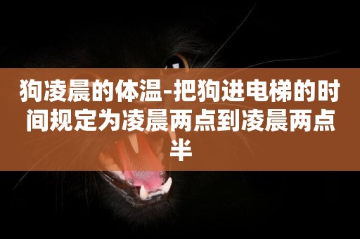 狗凌晨的體溫-把狗進電梯的時間規定為凌晨兩點到凌晨兩點半