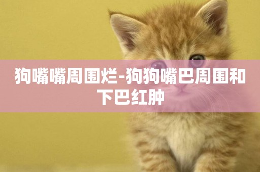 狗嘴嘴周圍爛-狗狗嘴巴周圍和下巴紅腫