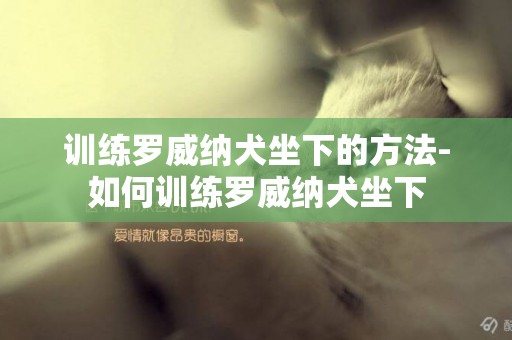訓練羅威納犬坐下的方法-如何訓練羅威納犬坐下