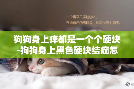 狗狗身上癢都是一個個硬塊-狗狗身上黑色硬塊結痂怎么治