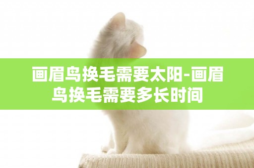 畫眉鳥換毛需要太陽-畫眉鳥換毛需要多長時間