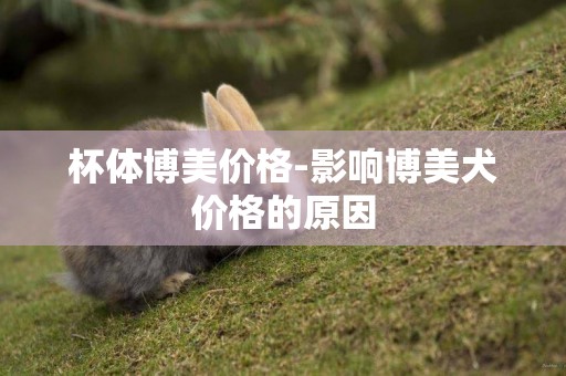 杯體博美價格-影響博美犬價格的原因