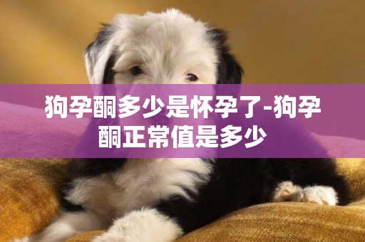 狗孕酮多少是懷孕了-狗孕酮正常值是多少