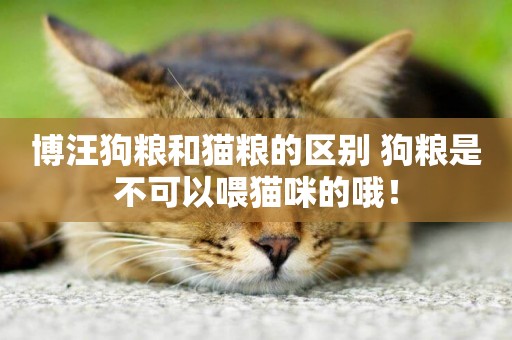 博汪狗糧和貓糧的區別 狗糧是不可以喂貓咪的哦！