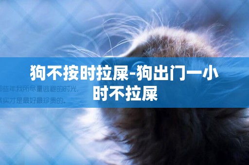 狗不按時拉屎-狗出門一小時不拉屎