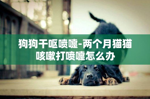 狗狗干嘔噴嚏-兩個月貓貓咳嗽打噴嚏怎么辦