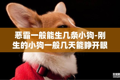 惡霸一般能生幾條小狗-剛生的小狗一般幾天能睜開眼
