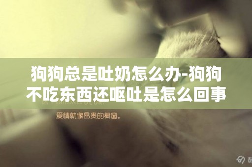 狗狗總是吐奶怎么辦-狗狗不吃東西還嘔吐是怎么回事