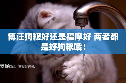 博汪狗糧好還是福摩好 兩者都是好狗糧哦！