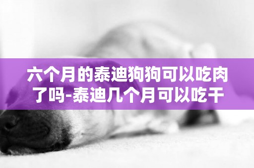 六個月的泰迪狗狗可以吃肉了嗎-泰迪幾個月可以吃干狗糧