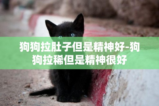 狗狗拉肚子但是精神好-狗狗拉稀但是精神很好