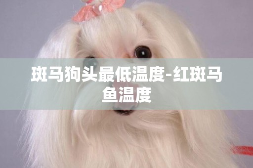 斑馬狗頭最低溫度-紅斑馬魚溫度
