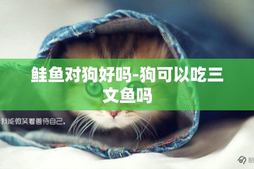 鮭魚對狗好嗎-狗可以吃三文魚嗎