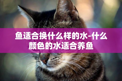 魚適合換什么樣的水-什么顏色的水適合養魚