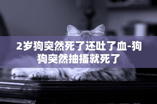 2歲狗突然死了還吐了血-狗狗突然抽搐就死了