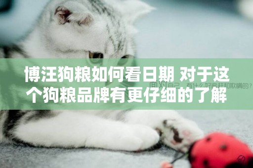 博汪狗糧如何看日期 對于這個狗糧品牌有更仔細的了解嗎