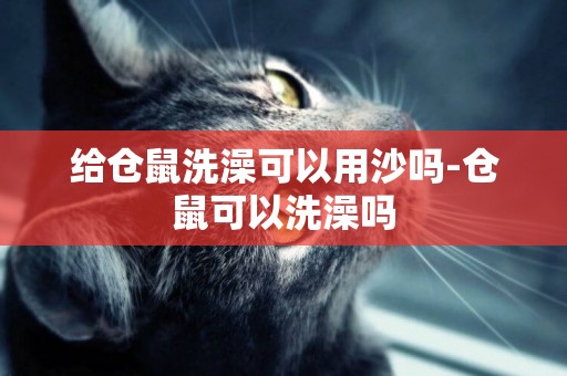 給倉鼠洗澡可以用沙嗎-倉鼠可以洗澡嗎