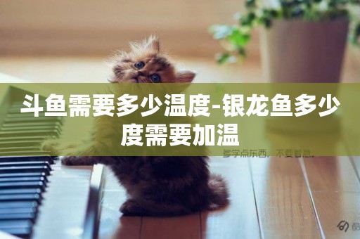 斗魚需要多少溫度-銀龍魚多少度需要加溫
