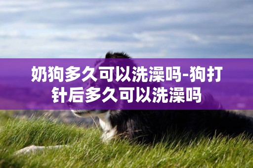 奶狗多久可以洗澡嗎-狗打針后多久可以洗澡嗎