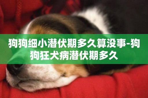 狗狗細小潛伏期多久算沒事-狗狗狂犬病潛伏期多久