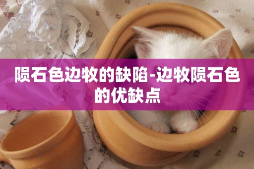 隕石色邊牧的缺陷-邊牧隕石色的優缺點
