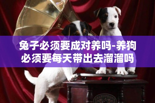 兔子必須要成對養嗎-養狗必須要每天帶出去溜溜嗎