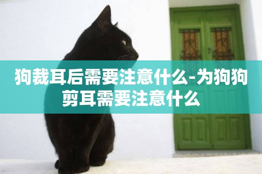 狗裁耳后需要注意什么-為狗狗剪耳需要注意什么