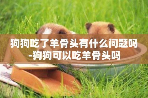 狗狗吃了羊骨頭有什么問題嗎-狗狗可以吃羊骨頭嗎