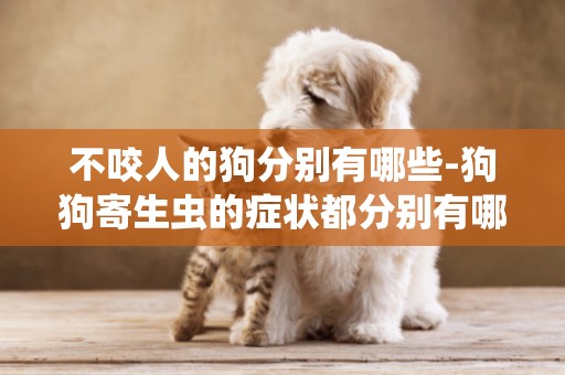 不咬人的狗分別有哪些-狗狗寄生蟲的癥狀都分別有哪些