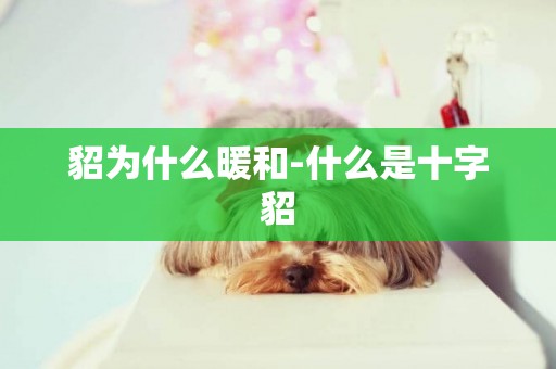 貂為什么暖和-什么是十字貂