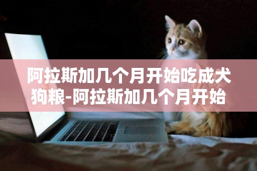阿拉斯加幾個月開始吃成犬狗糧-阿拉斯加幾個月開始吃干狗糧