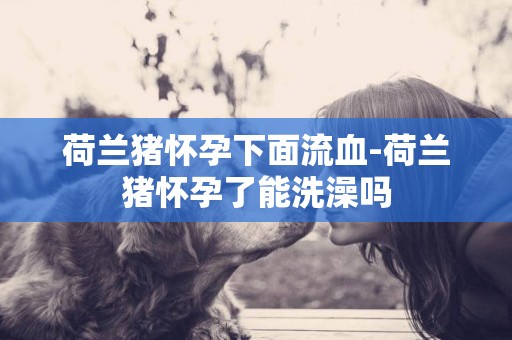 荷蘭豬懷孕下面流血-荷蘭豬懷孕了能洗澡嗎