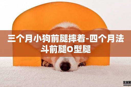三個月小狗前腿摔著-四個月法斗前腿O型腿