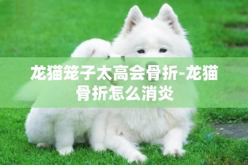 龍貓籠子太高會骨折-龍貓骨折怎么消炎