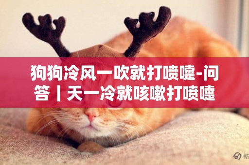 狗狗冷風一吹就打噴嚏-問答｜天一冷就咳嗽打噴嚏